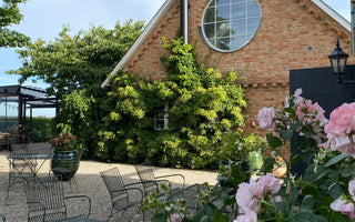 VI BACKAR BARA NÄR VI TAR SATS!