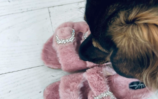 En ljuvlig stormig kväll