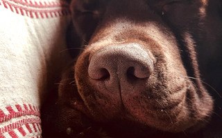 Första dagen i resten av mitt liv