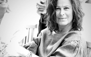 DET VÄRMANDE GULDET