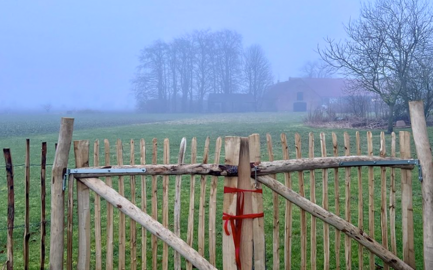 MIN GRIND MED RÖDA SIDENBAND