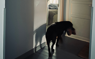 MITT NYA LIV UTAN SNOOZE...