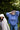 JAHR 2026 Pullover