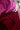 BOX MOOD Barrel pants - Vino