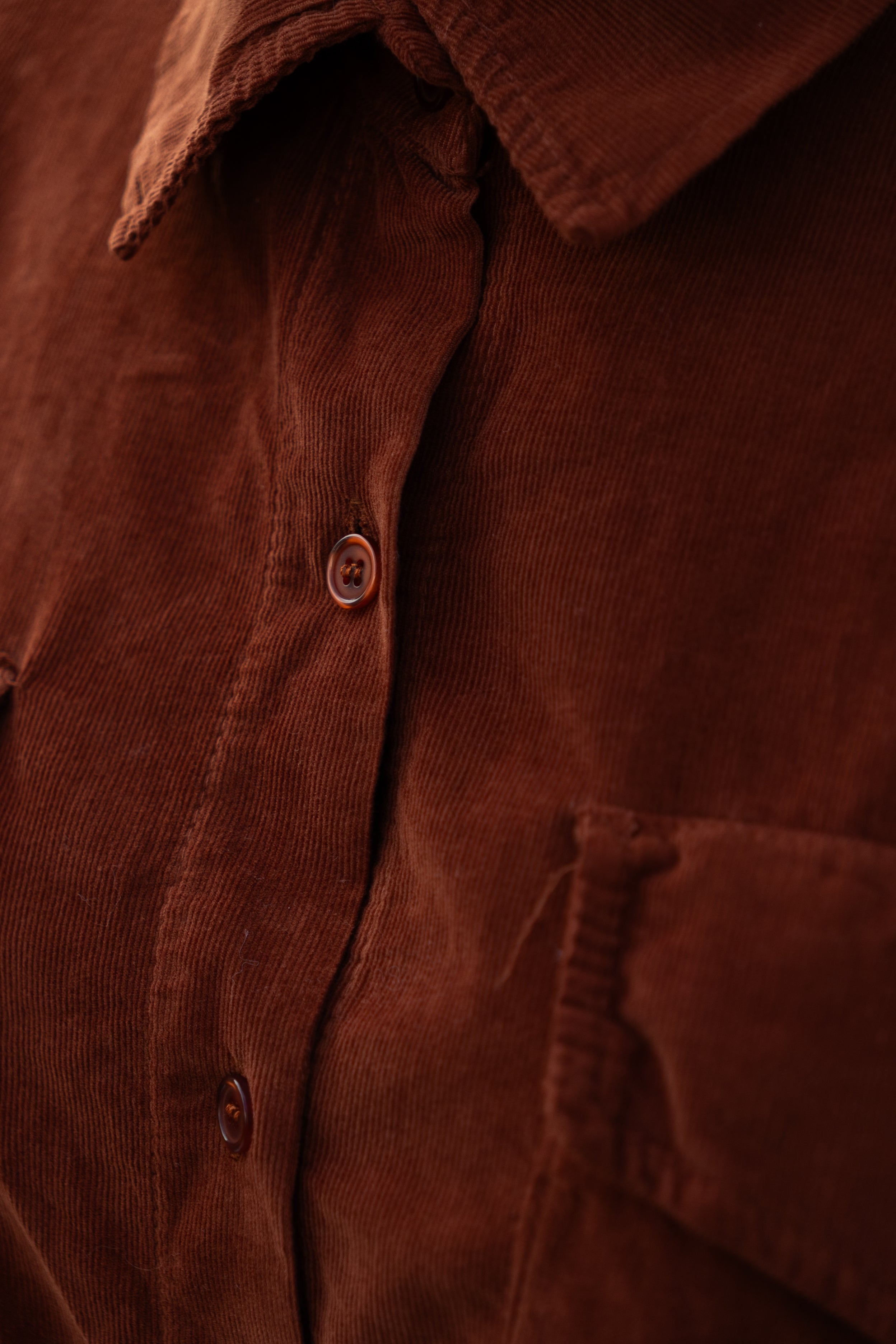 Subsistura de cable de brenda, zanahoria